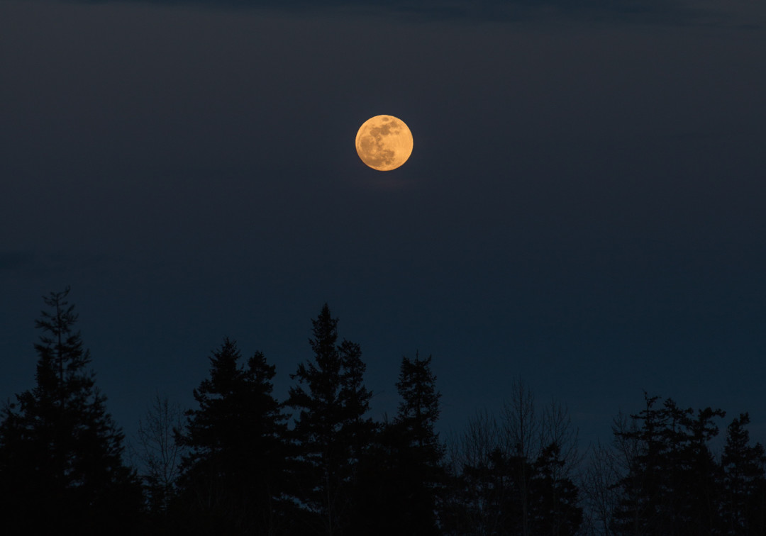 Photographing the moon with the Canon 70-200mm – Mostly Lisa ...