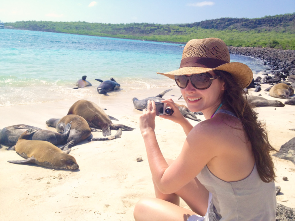 Photographing sea lions in the Galapagos.